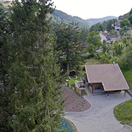 Le Chalet Margaux La Bresse Buitenkant foto